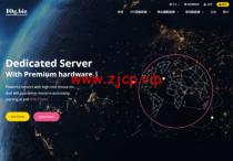 10gbiz：香港VPS云服务器（GIA+VIP）线路，简单测评
